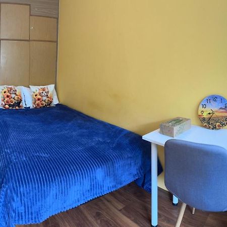 فندق Travel House فروتسواف المظهر الخارجي الصورة